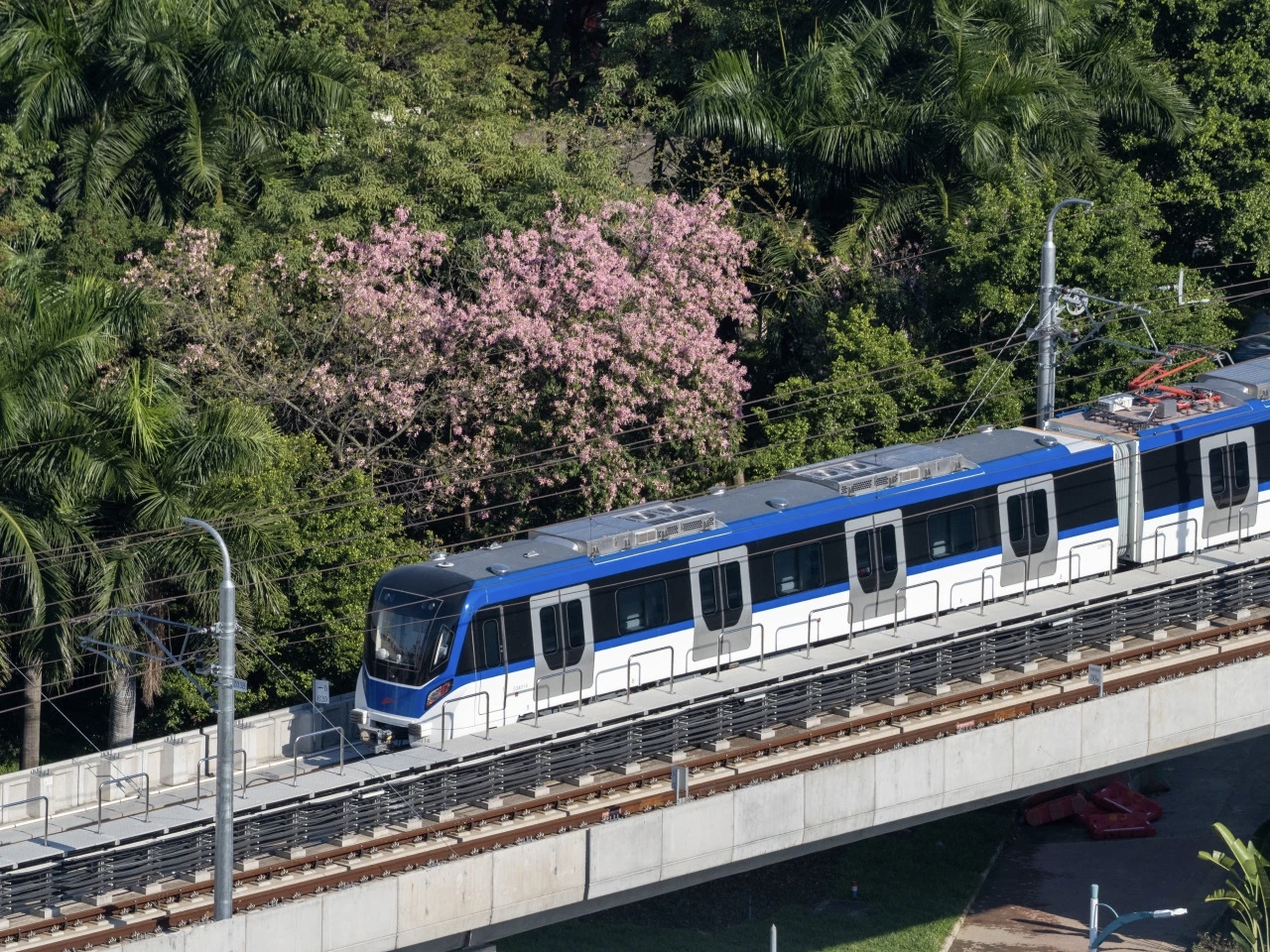 mmexport1781412918035.jpg