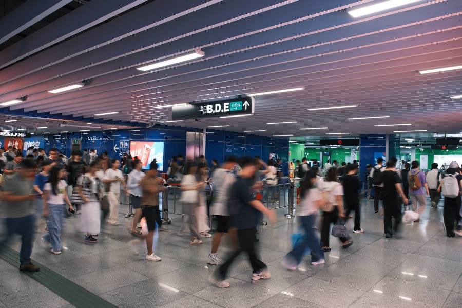 7313.jpg