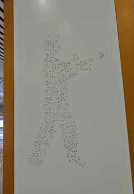 8533.jpg