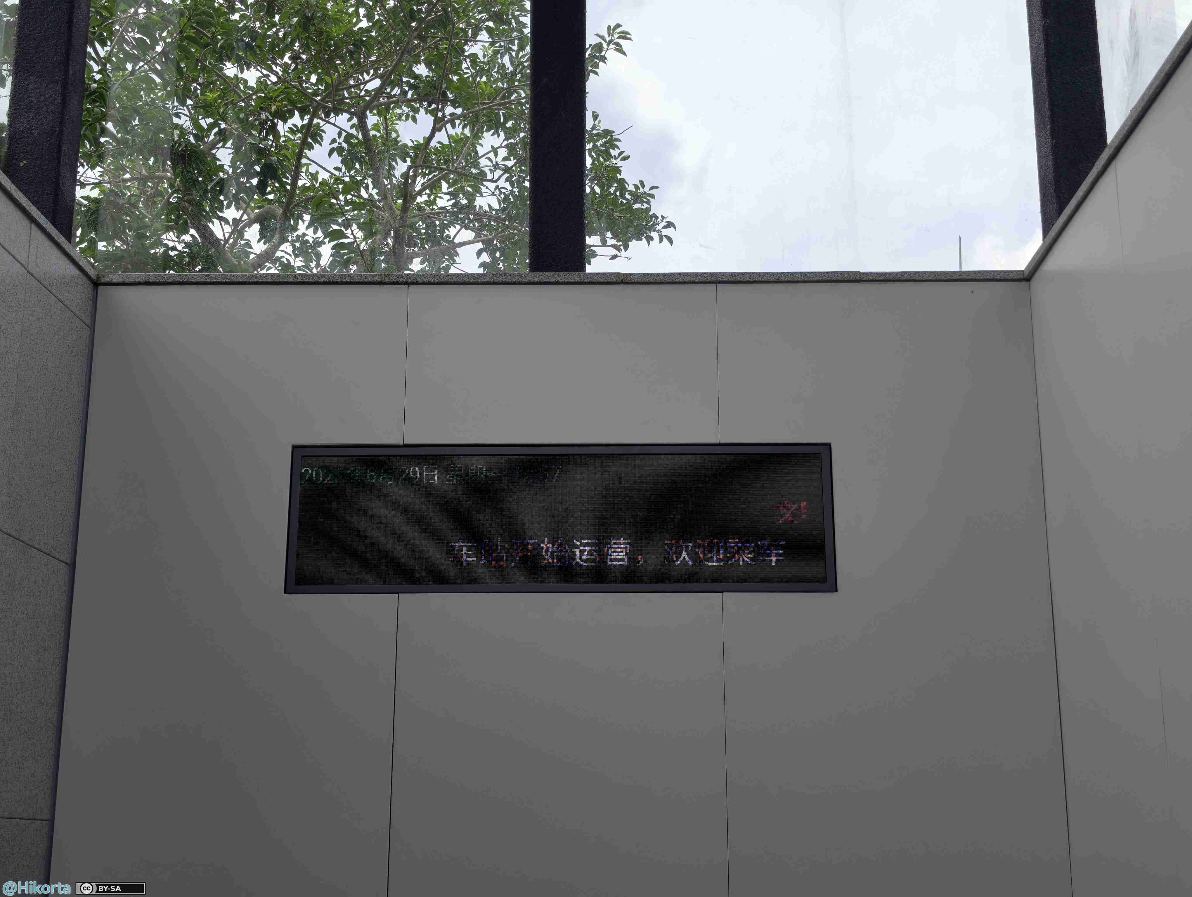 IMG_20260629_125710.jpg
