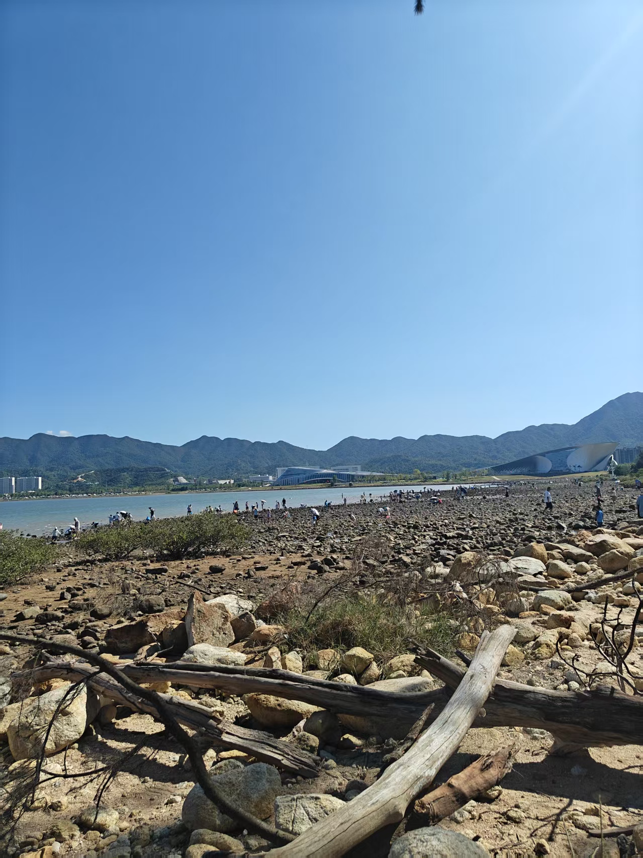 微信图片_20260930151305_5_48.jpg
