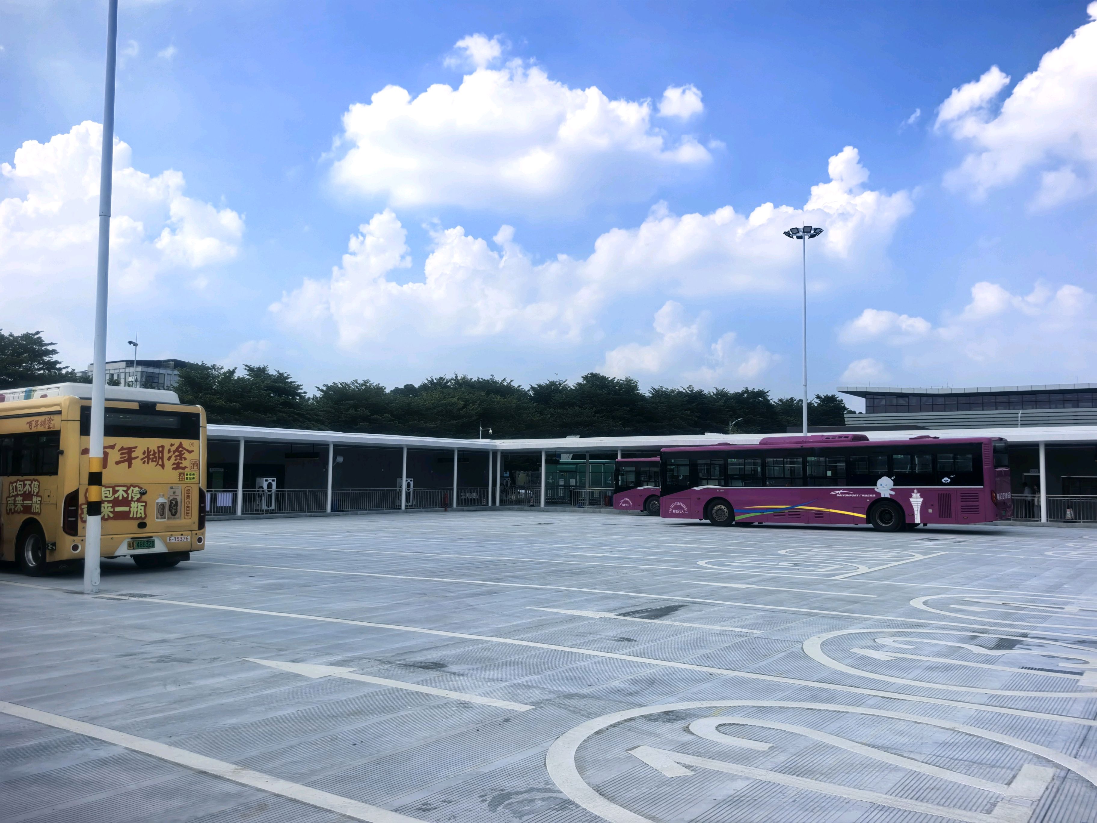 44017.jpg